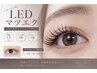 LEDフラットラッシュ100本￥6160/120本￥7260/150本￥8360（税込）