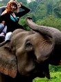 タイ古式リラクゼーション ぞうのみみ 守實 昌代