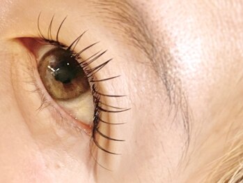 シャルム(Charme)/フラットマットラッシュ120本