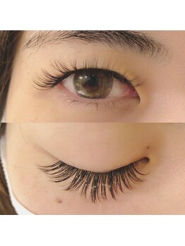 フランセス(Frances)/ボリュームラッシュ100束