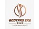 BODYPRO EXE　整体院の写真