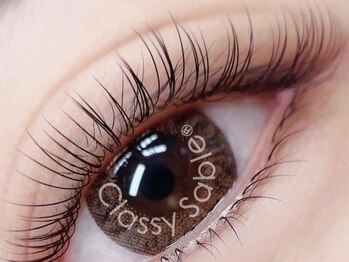 ネリネ(Nerine)/洗練された王道ブラック