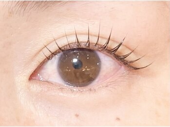 ソラネオリーブ 相模大野店(sola neolive)/【パリジェンヌ】まつ毛パーマ