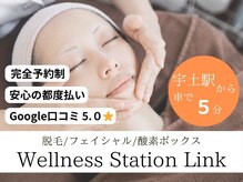 ウェルネス ステーション リンク(Wellness Station Link)