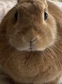 ザバーム 亀戸店(THE BALM)&nbsp;実家でウサギを飼っています♪アルちゃんです！