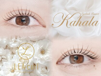 アイラッシュリゾートカハラ 国立店の写真