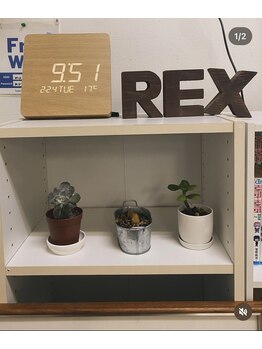 レックス整骨院 新さっぽろ店(REX整骨院)/