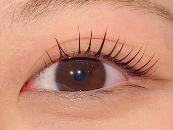 ザ コースト バイ ネオリーブ(The coast by neolive)/《担当:松野》