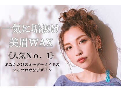 レディ(Lady)の写真