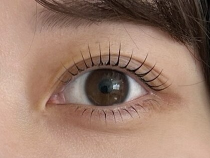 ポームム(POMUM)の写真