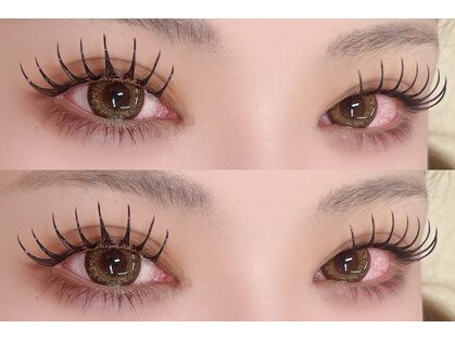 アンジェリークアイラッシュ(Angelique Eye Lash)の写真
