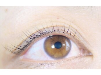 光/パリジェンヌラッシュリフト