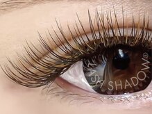 ネリネ(Nerine)/フォギーブラウン2トーン