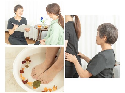 アンジェリカ(angelica)の写真