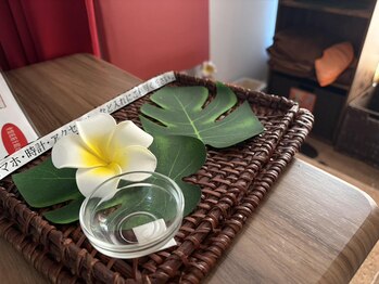 ジェリタブラン/オススメの格安セット