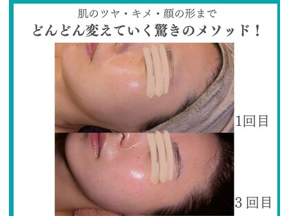 シーズン(Season)の写真