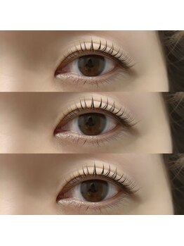 シェリール(Cherile)/（まつげパーマ/パリジェンヌ）