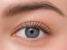 Beauty starts with your eyelashes and eyebrows! A special time to make your ideal look a reality.