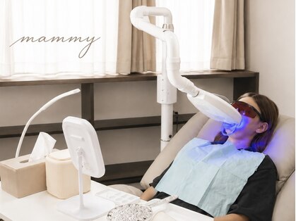 マミー(mammy)の写真