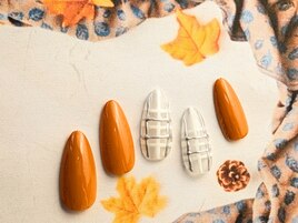 10月定額華やか