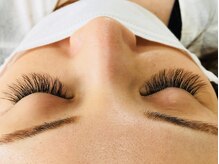 ティンク(Tink)/ボリューム 120束