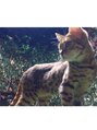 リアンスネイル ヴィヴィッド 岡山店(LianS nail ViViD) 猫ちゃん大好き(´ω` )/