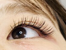 ナイン ゴー(Nine go)/高級セーブル・カラーMix