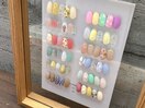 定額スタンダードコース