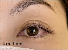 ロコ ファーム(loco farm)/フラットラッシュ100本