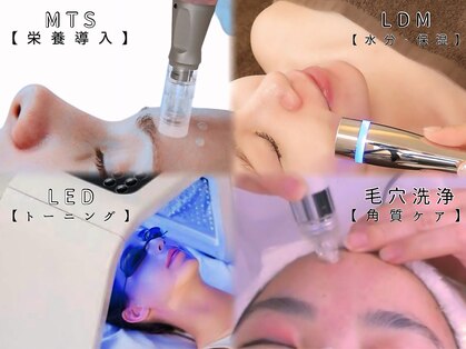 スア(SUA)の写真
