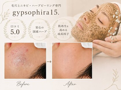 ジプソフィラフィフティドット(gypsophira15.)の写真