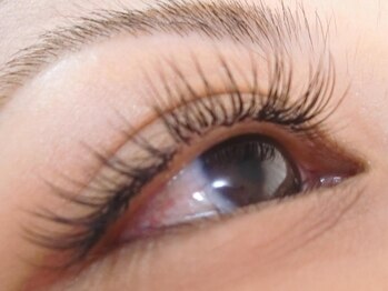 デリカトゥーラ(Delicatura)/