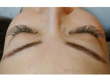 グラモ(GLAMO)/Perfect　Lash/ミディアム