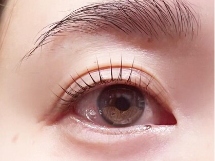 ルッカ(Lukka)の写真