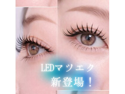 アイリッチ 新宿本店の写真