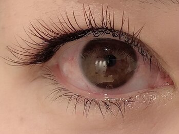 カラン 焼津店(CALIN)/ブラウンフラットラッシュ