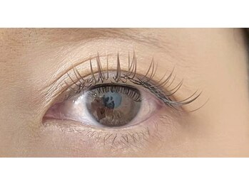 リシェル アイラッシュ 平塚店(Richelle eyelash)/ロイッシュカラー 120本