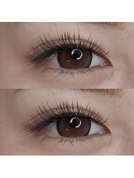 メイズ(May's)/フラットラッシュ160本