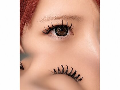 リリー(Lily)の写真