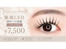 ハル(HARU)