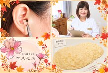 コスモス