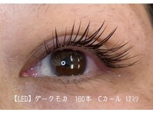 ヴィサージュ 桑名(Visage)/【LED】160本