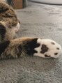スイウ 中目黒店(SUiU)&nbsp;こちら、私の癒しの相棒です(=^x^=)[中目黒/肩こり/ヘッドスパ]