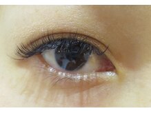 マリー エクラン/ダブルフラット160本・80束