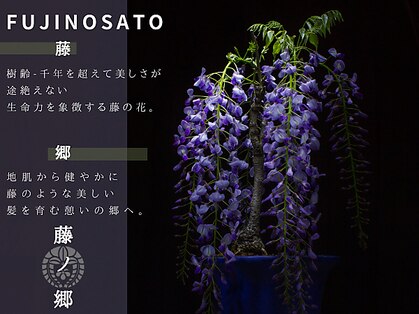 藤ノ郷 銀座店の写真