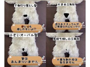 ヴィーナス(Venus)/Vライン辞典パート2