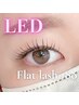 8月平日限定★LED×フラットラッシュ180本・オフ無料