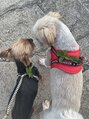 プラスアイ 蒲田西口店 実家で犬2匹かってます!