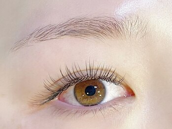 ラッシュアンドワックス ブレイブニューヨーク(Lash&Wax Brave nyc.)/アップワードフラット140本