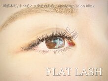 ブリンク(blink)/フラットラッシュ付け放題